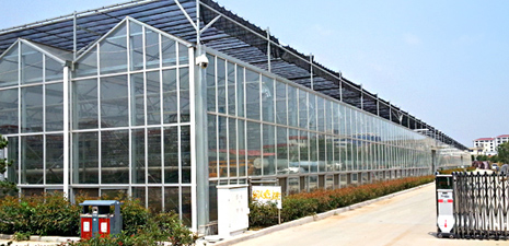 庫(kù)存強(qiáng)大