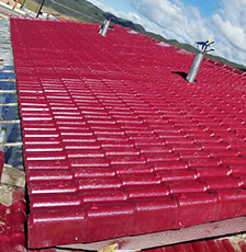 樹(shù)脂瓦案例