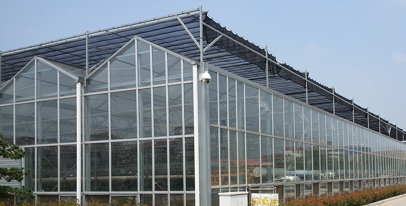 匯中科工貿(mào)為您淺析陽(yáng)光板適用于哪些領(lǐng)域